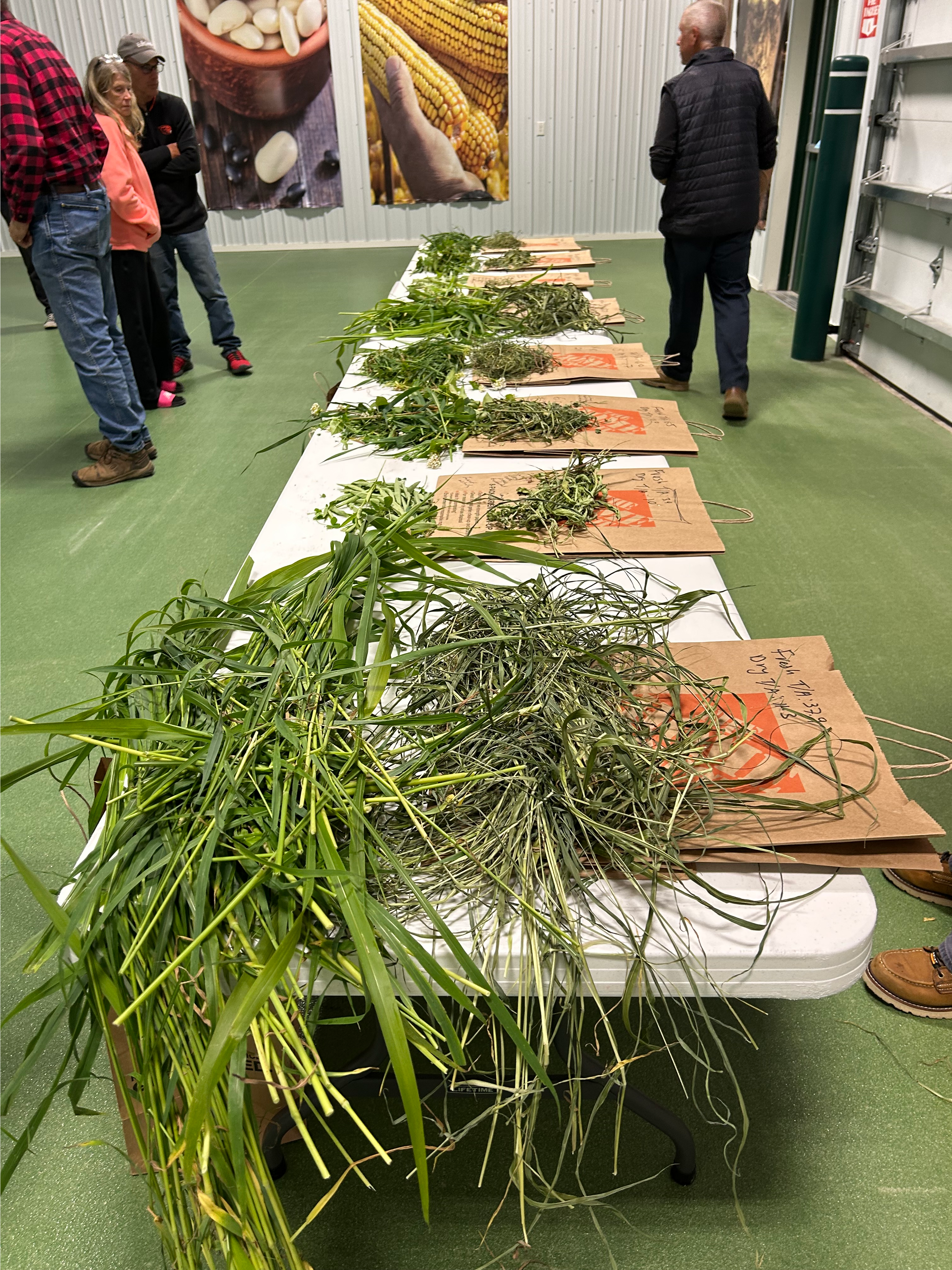 Workshop participants harvested a variety of cover crop species and measured their fresh biomass (weight) during a field day that offered a hands-on activity.